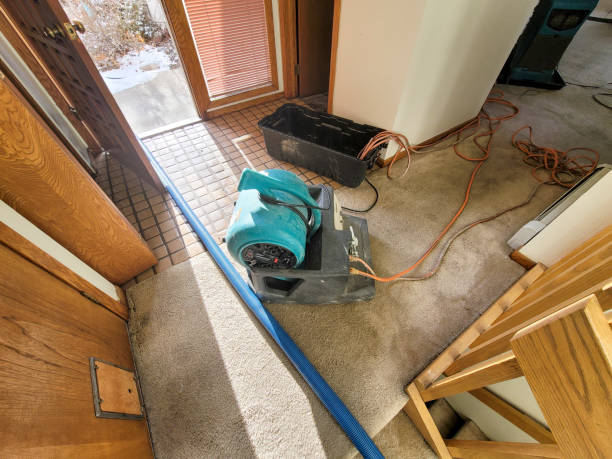Best Water damage restoration process  in Paradise, CA