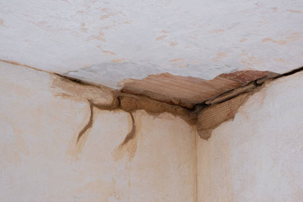 Best Water damage mitigation services  in Paradise, CA