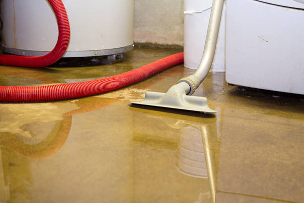 Carpet water damage restoration in Paradise, CA
